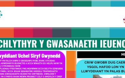 Cylchlythyr y Gwasanaeth Ieuenctid – Mehefin 2025